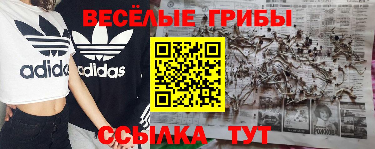Фрязино  Галлюциногенные грибы Psilocybe  Вход с VPN 